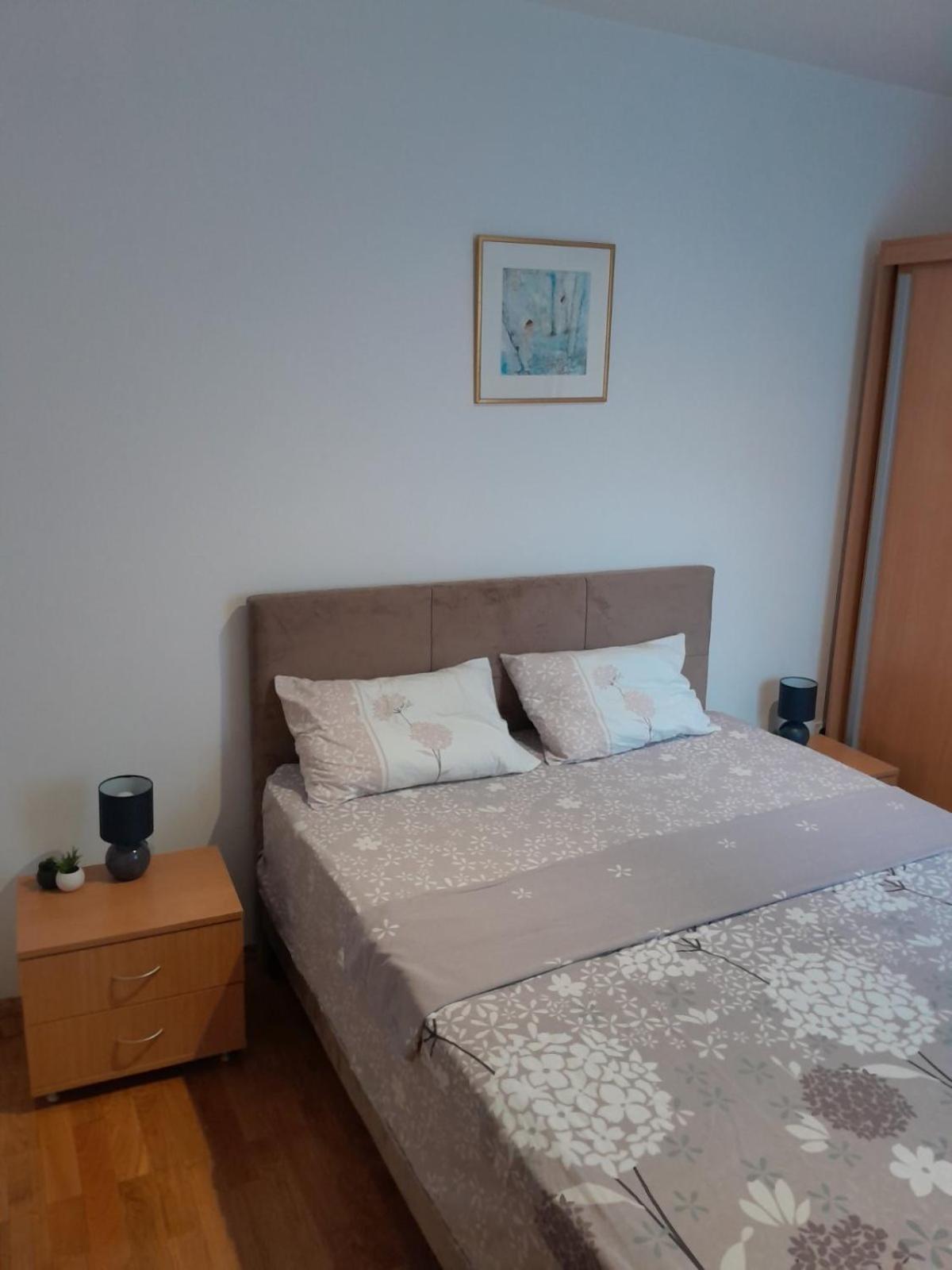 Apartman Klara Petrovac Eksteriør bilde